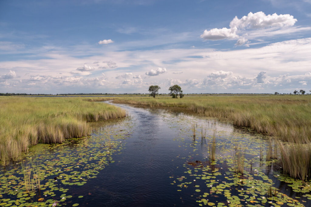 paysage de la riviere