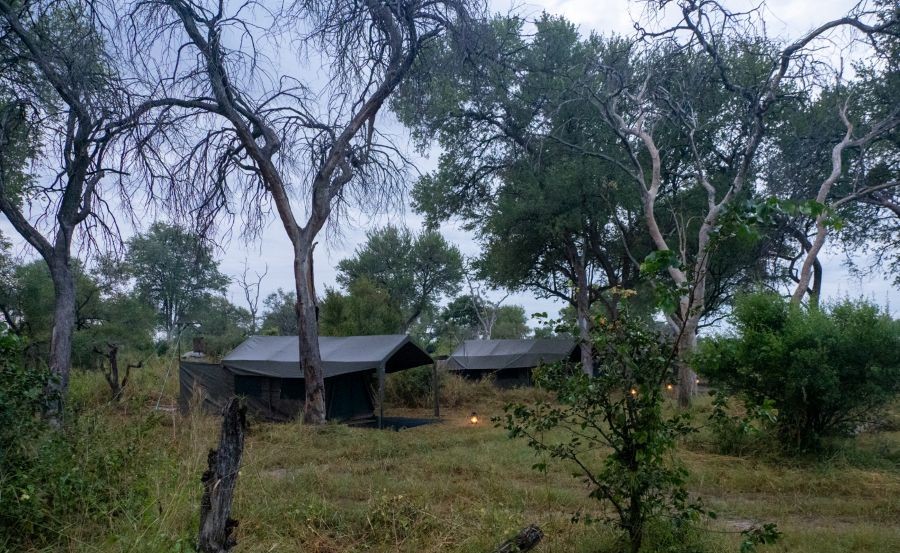tentes dans le site du camping