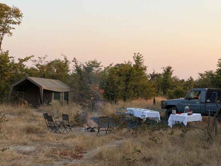 Camp itinerant semi luxe Botswana